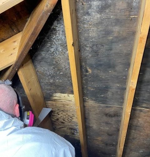 IMG_0960-2024-08-05-14_10_15-scaled-qtpa8dw3soyz81sdt72rkhri707rjzjzhazekk69ag IMG_0960-2024-08-05-14_10_15-scaled-qtpa8dw3soyz81sdt72rkhri707rjzjzhazekk69ag