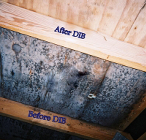 WXWorkCapture_17514274961311 WXWorkCapture_17514274961311