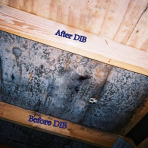 WXWorkCapture_17514274961311 WXWorkCapture_17514274961311